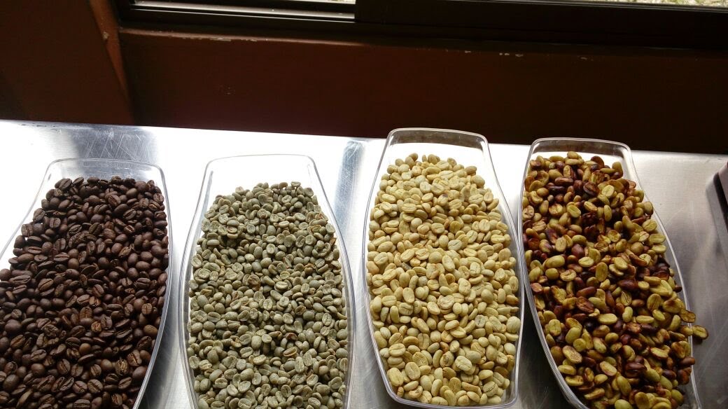Muestra de cafe