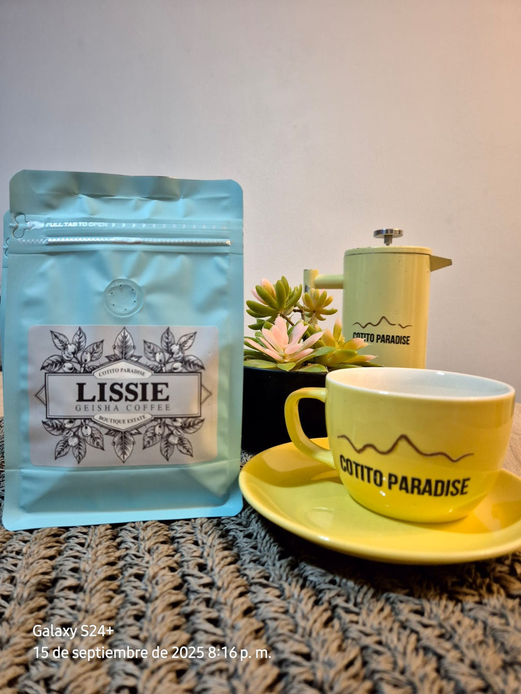 Café Geisha 250g — Grano o Molido